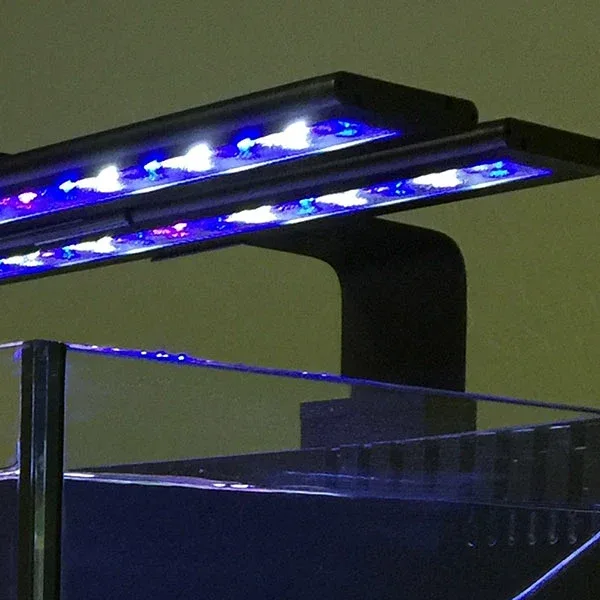 Current Orbit™ LED Adjustable Tank Mount Bracket - Image 2