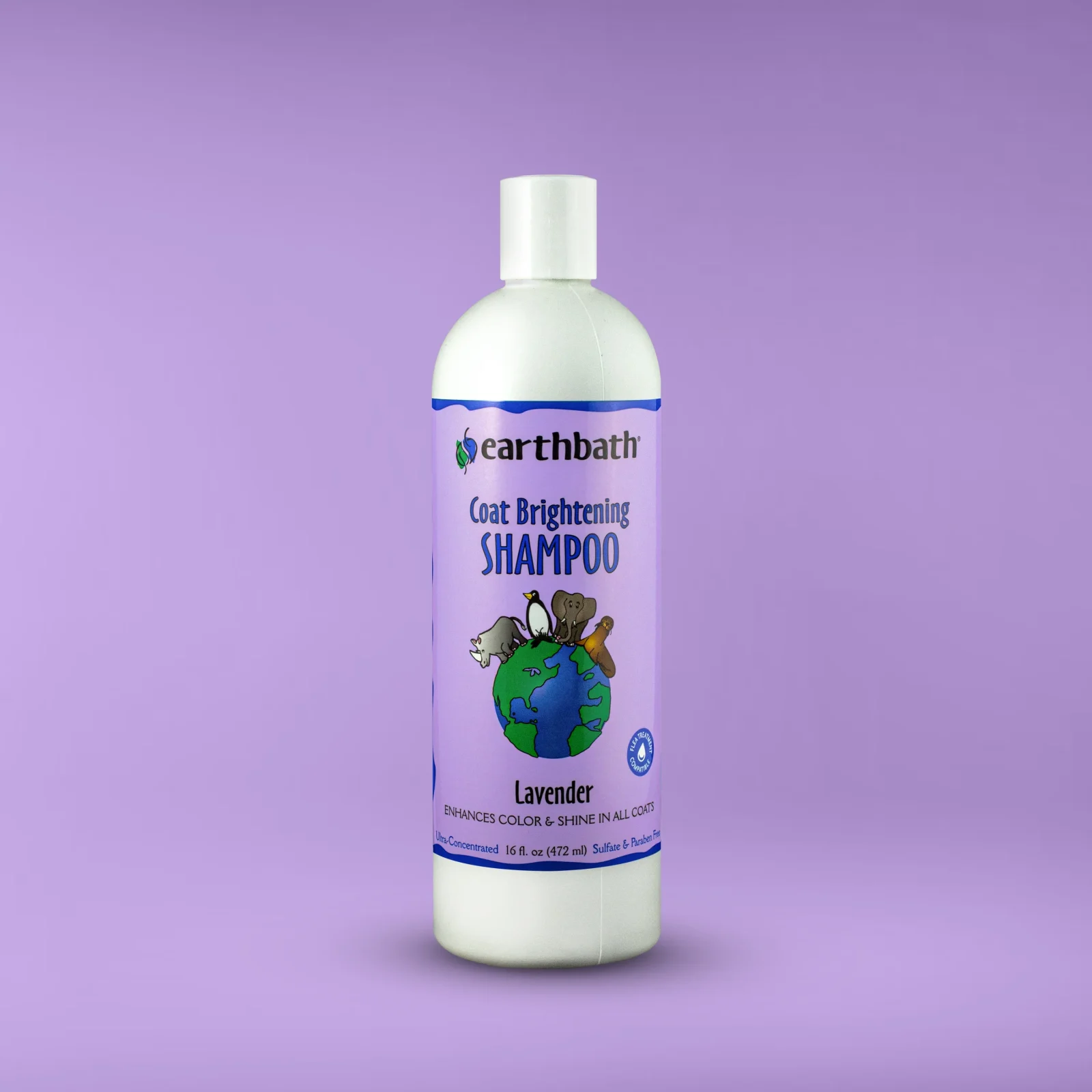 EarthBath Lavender Coat Brightening Shampoo for Dogs and Cats