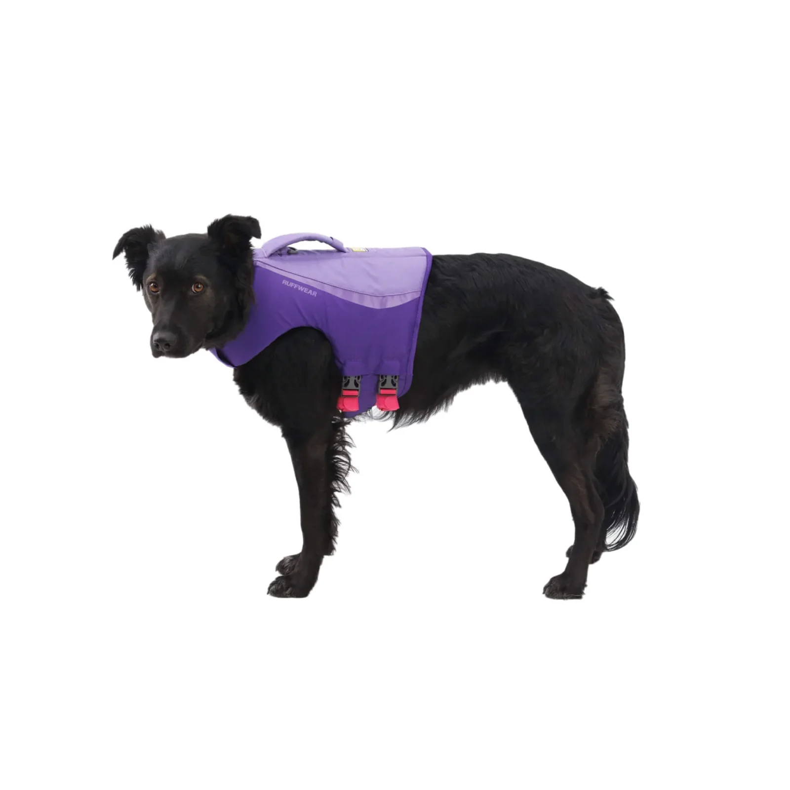 RuffWear Float Coat Life Jacket for Dogs - Image 2