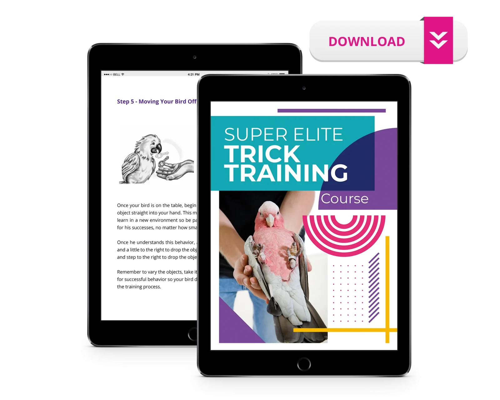 BirdTricks Training Course | Bonus Trick Level - Image 2