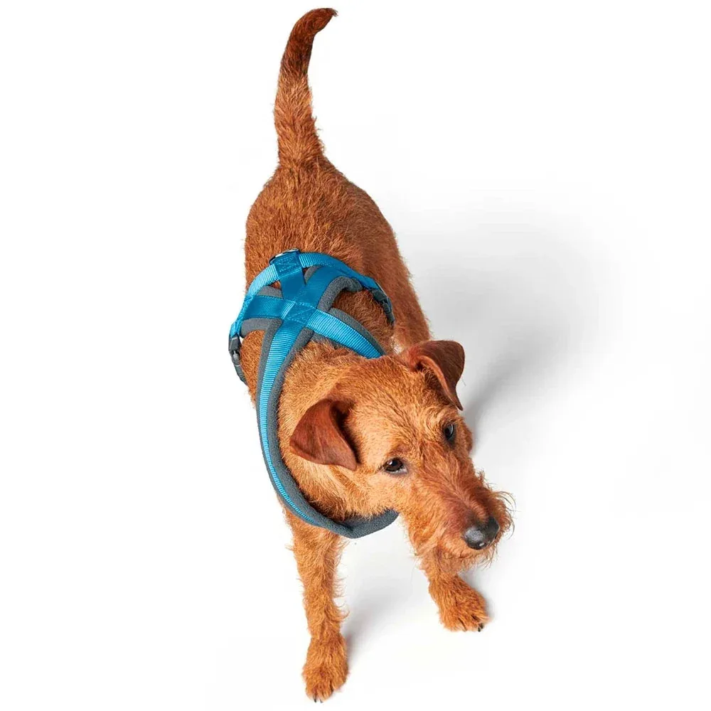 Hunter London Comfort Harness for Dogs (Light Blue) - Image 2