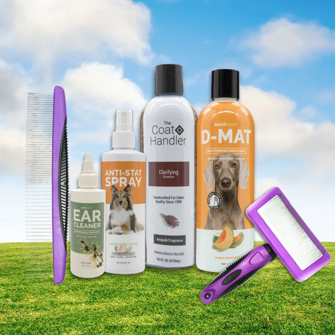 The Doodle Basic Kit