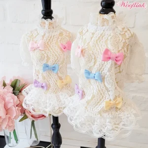 Wooflink Sweet Babe Dress