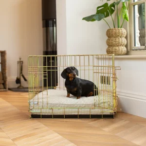Dog Cushion in Regency Stripe by Lords & Labradors