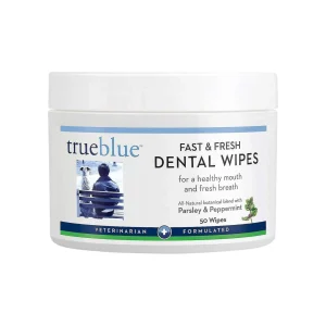 TrueBlue Fast & Fresh Dental Swipes