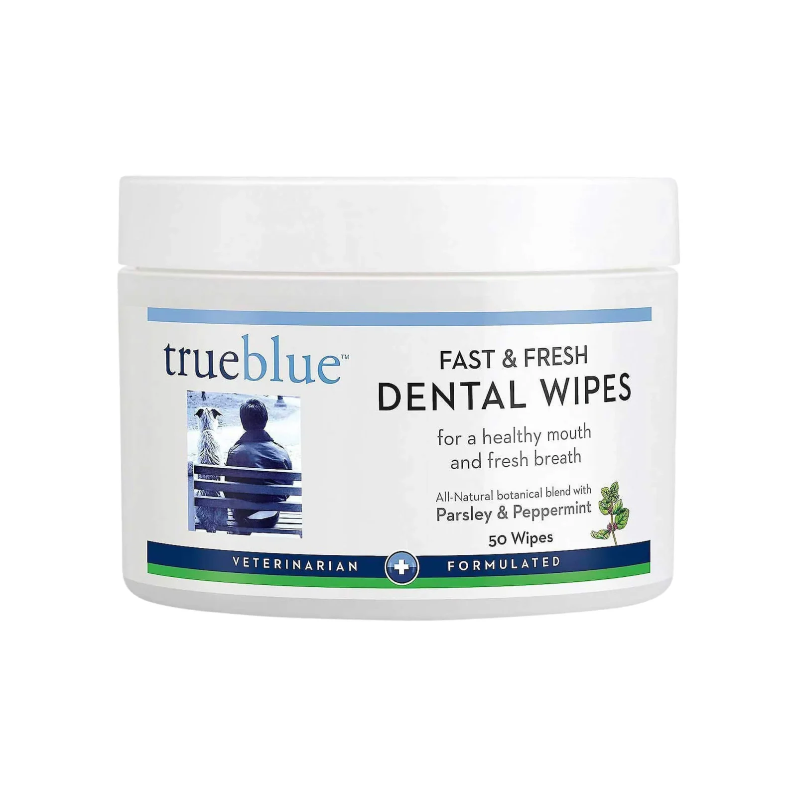 TrueBlue Fast & Fresh Dental Swipes