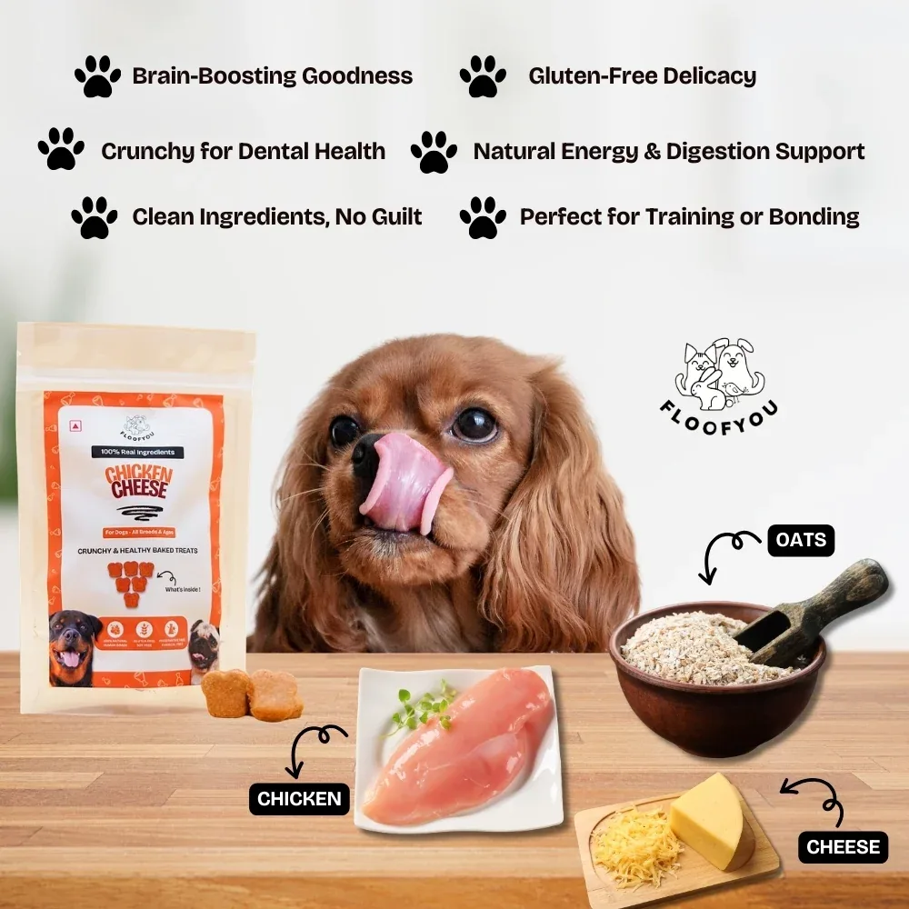 Floofyou Chicken Cheese Oven Baked Cookie Dog Treats - Image 2