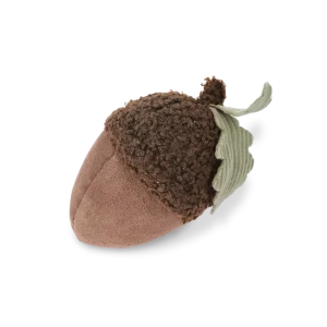 ACORN