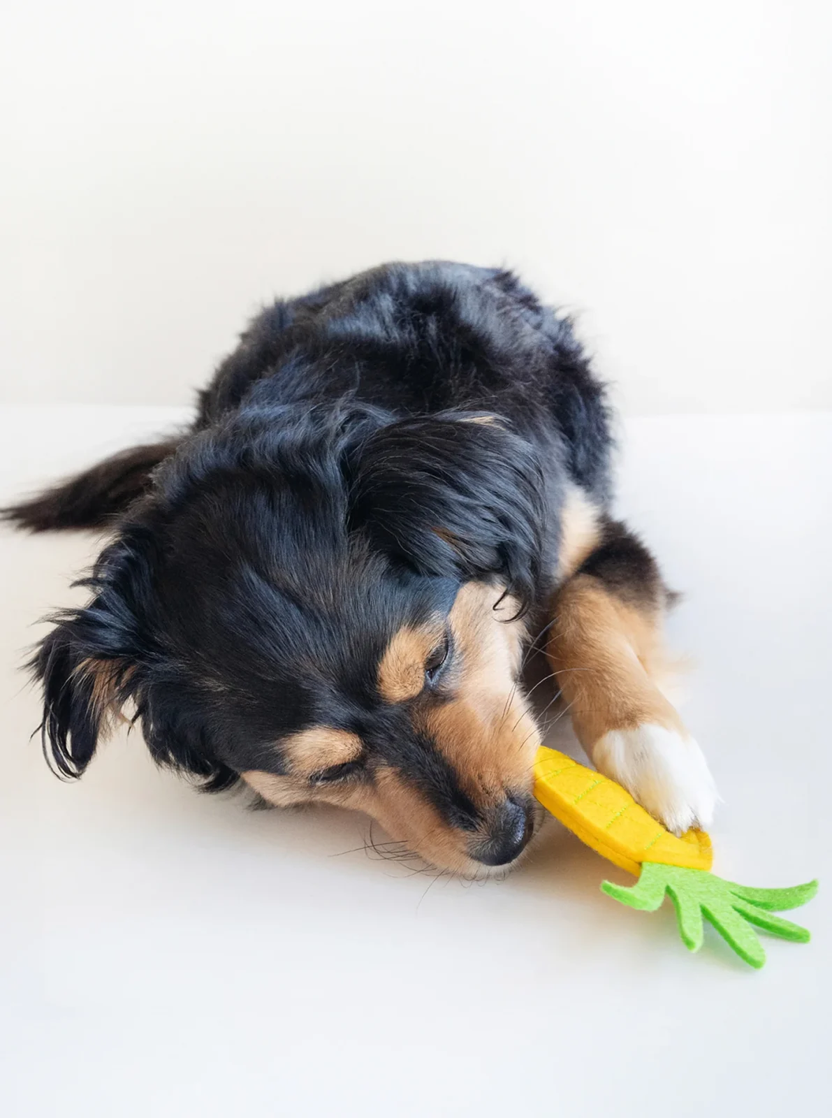 PINEAPPLE DOG SQUEAKER TOY - Image 2