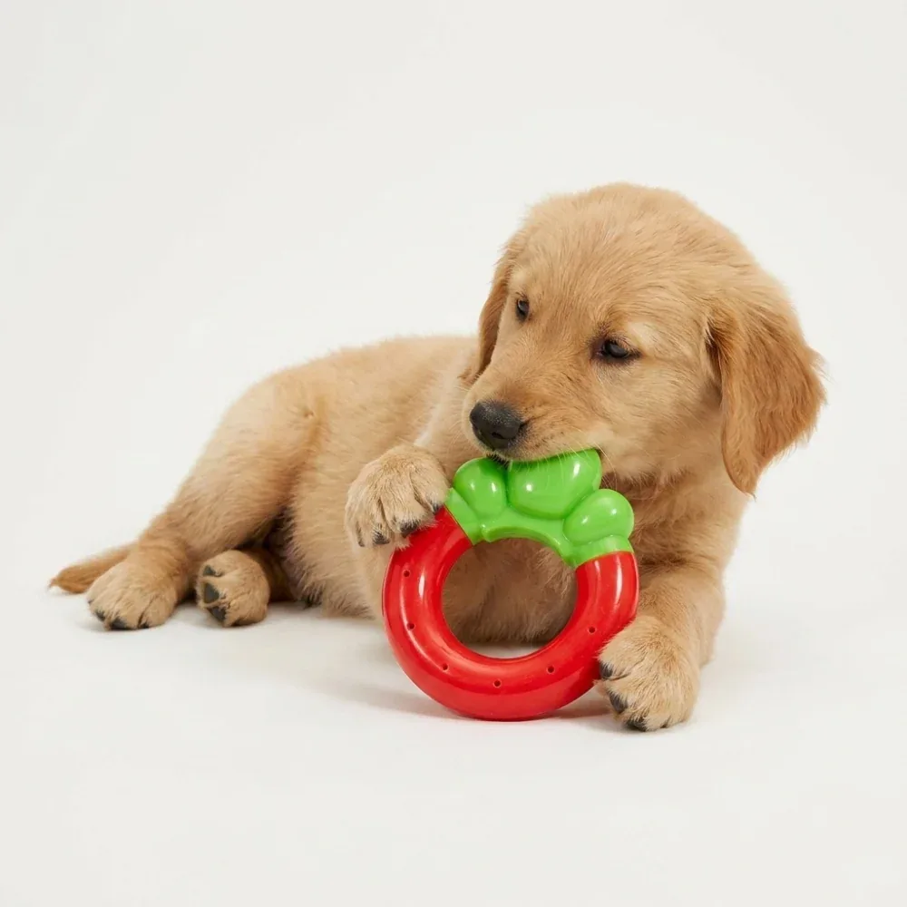 Skatrs Strawberry Ring Toy for Dogs - Image 2