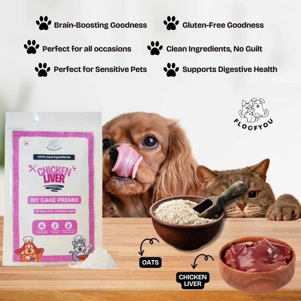 Floofyou Home Made Chicken Liver Birthday Cake Mix for Dogs and Cats - Image 2