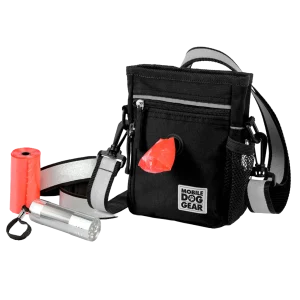 Day/Night Walking Bag