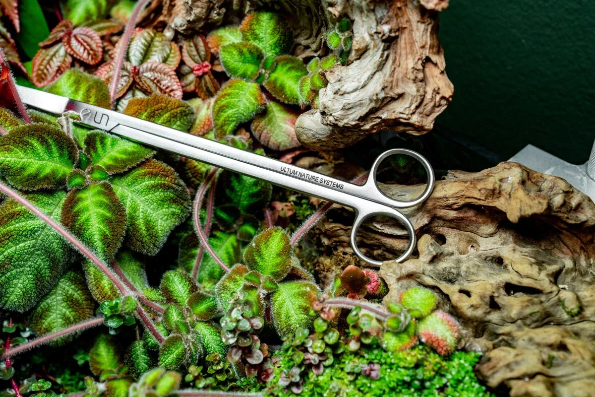 UNS Grey Curved Scissors - Image 2