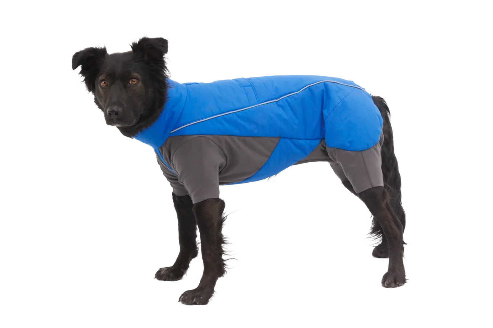 Vert™ Coverall Dog Snow Suit - Image 2