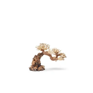 UNS Bonsai 006