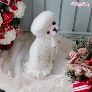 Wooflink My Romance Turtleneck in White