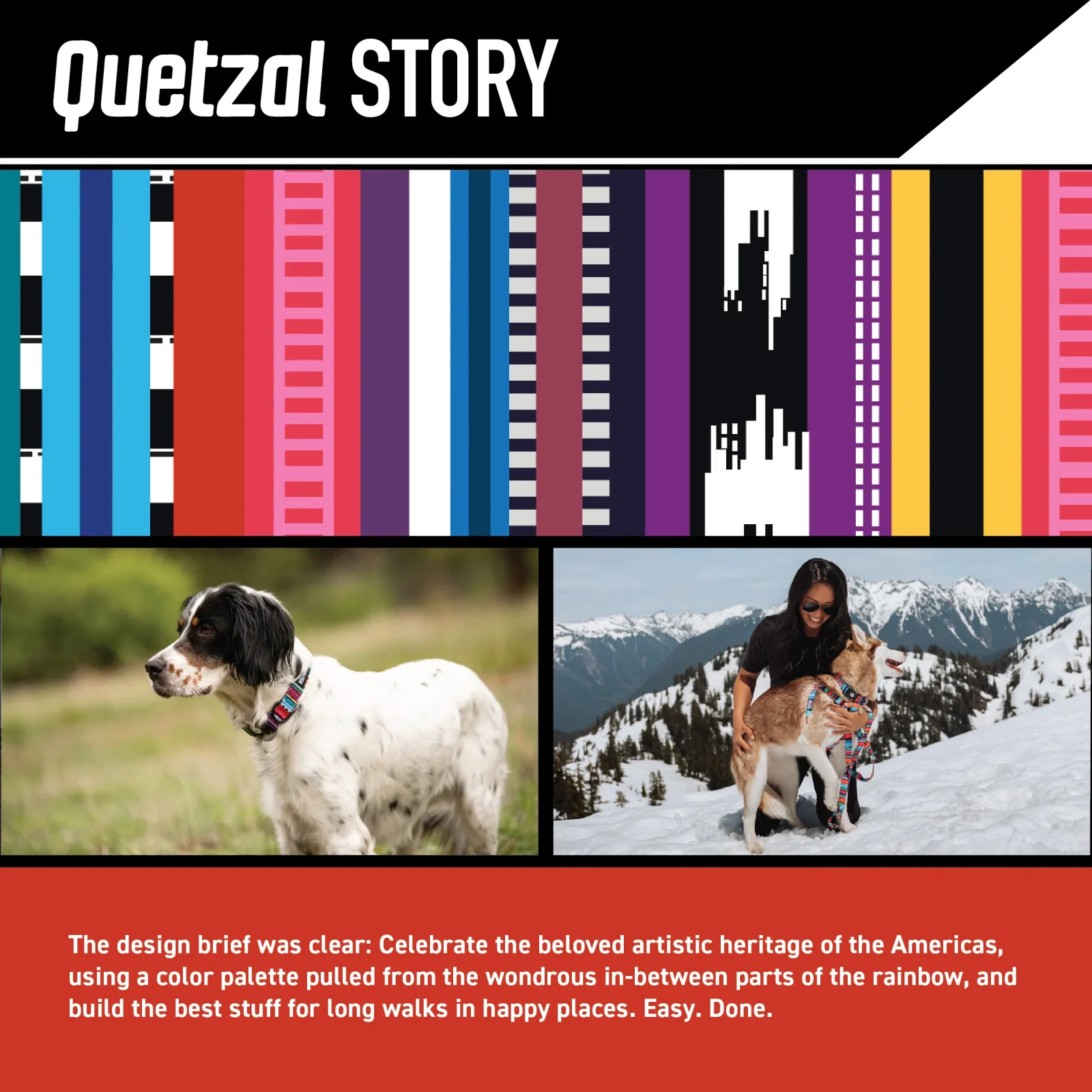 Quetzal Dog Collar - Image 2