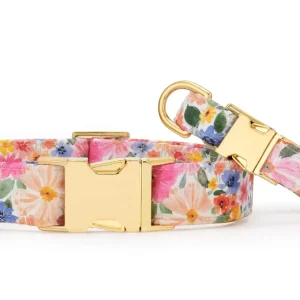 Margaux Dog Collar