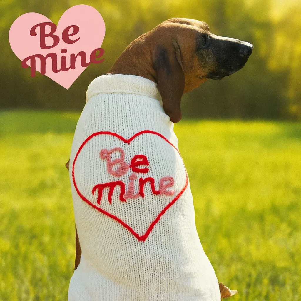 Be Mine Dog Sweater - Image 2