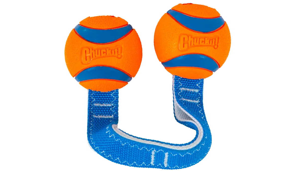 Chuckit! Ultra Duo Tug Dog Toy Med - Image 2
