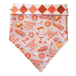 Pumpkin Spice Everything - Reversible Dog Collar Bandana