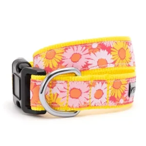 Preppy Floral Dog Collar & Lead