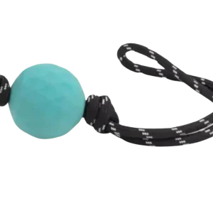 ZippyTuff Waggle RopeTugz Toy