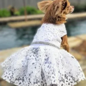 White Lace Dog Wedding Dress with Matching Leash