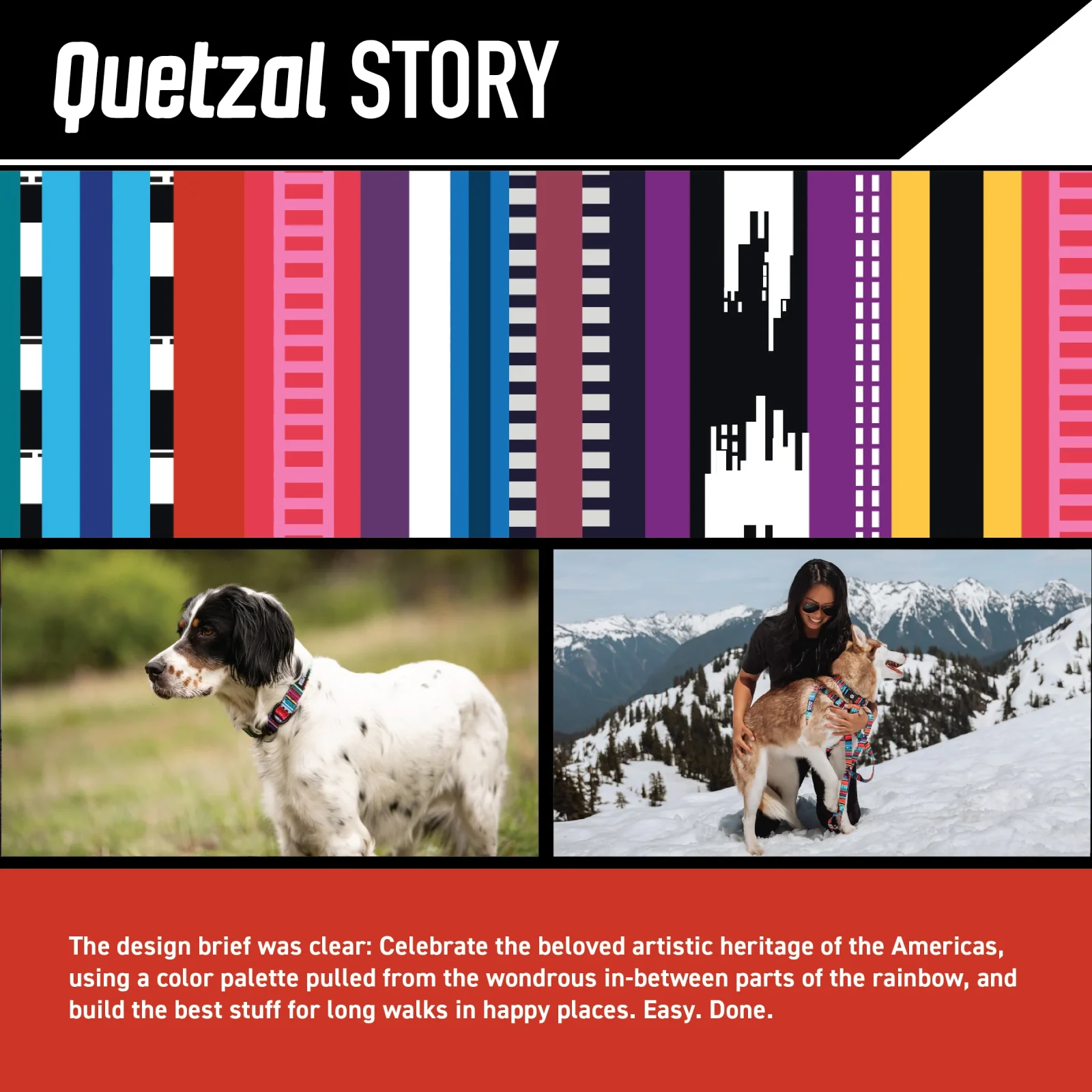 Quetzal Dog Leash - Image 2