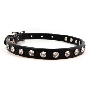 Black Madison Collar with 1 Row Swarovski Crystals