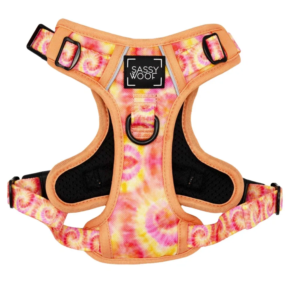 Dog Step-in Harness - Groovy Summer Sorbet