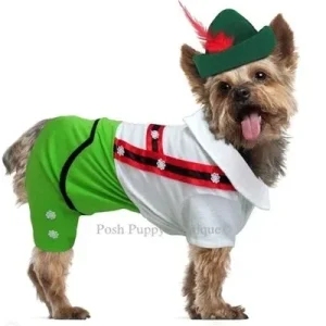 Alpine Boy Costume