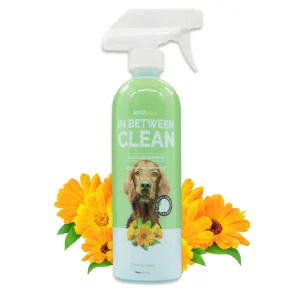 Bark2Basics In Between Clean Waterless Shampoo, 16 oz.