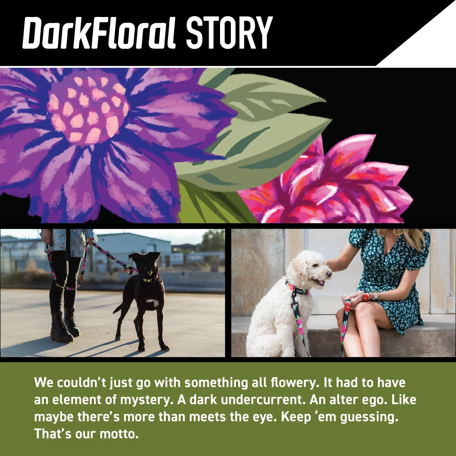 DarkFloral Wide Dog Collar - Image 2