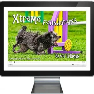 Clean Run Xtreme Foundations