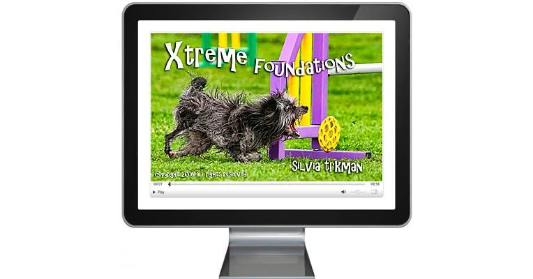 Clean Run Xtreme Foundations