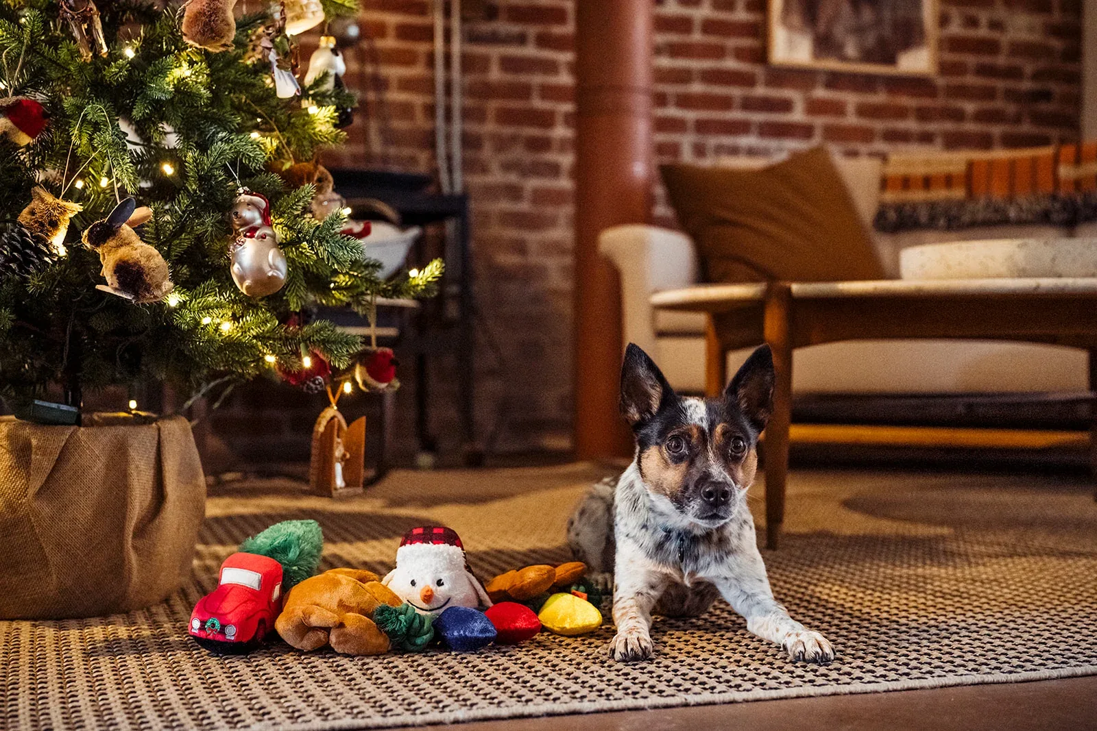 Merry Minis Collection - Image 2