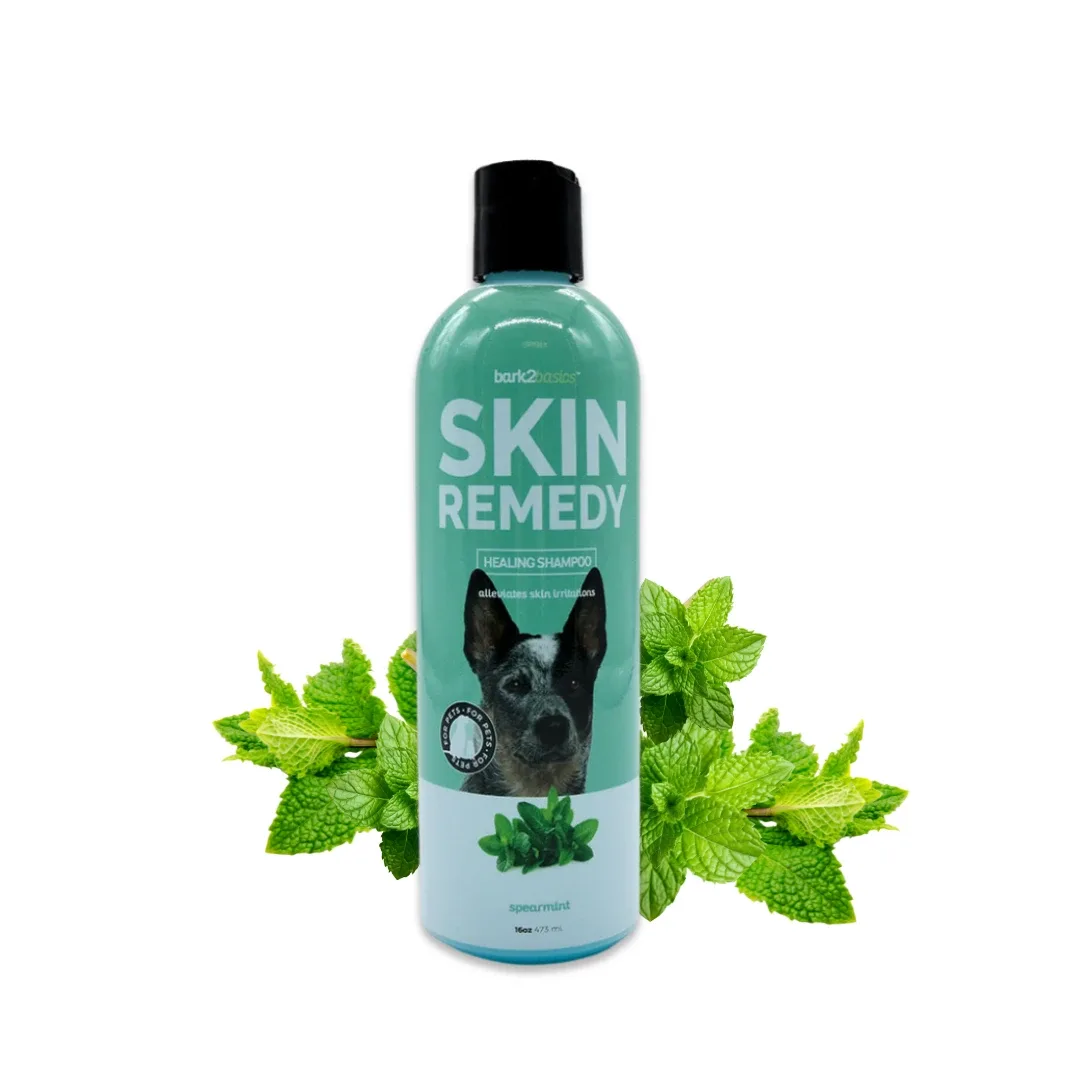 Bark2Basics Skin Remedy Shampoo, 16 oz