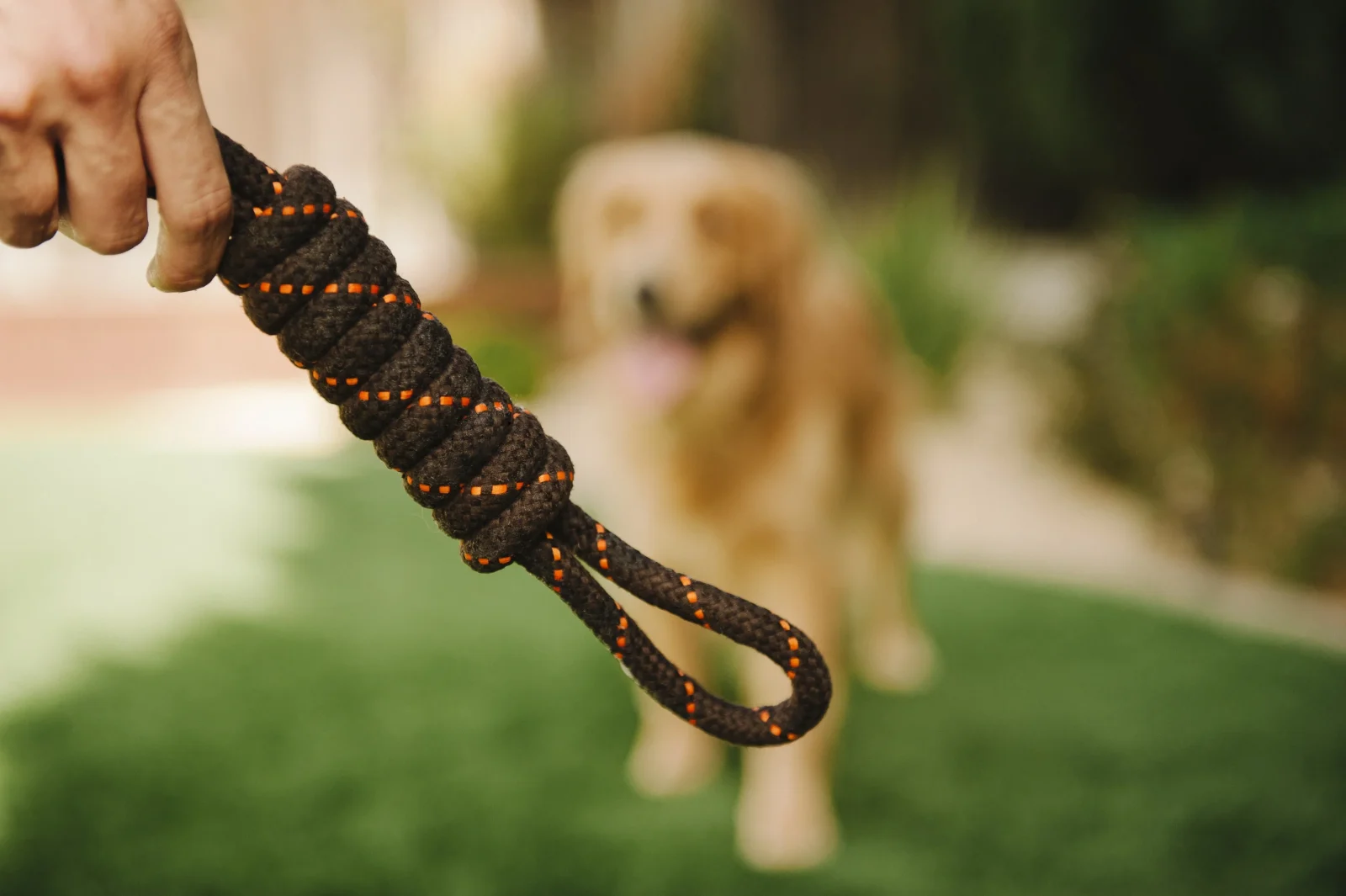 Tug Rope Toy - Image 2
