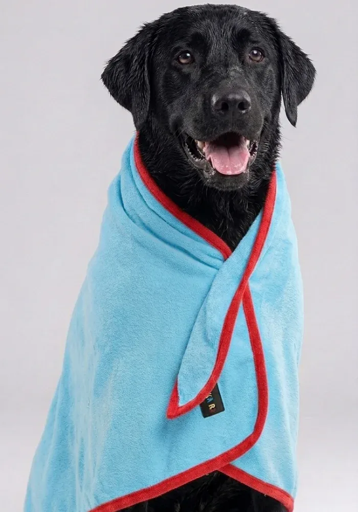 Skatrs Pet towel (Light Blue and Red) - Image 2