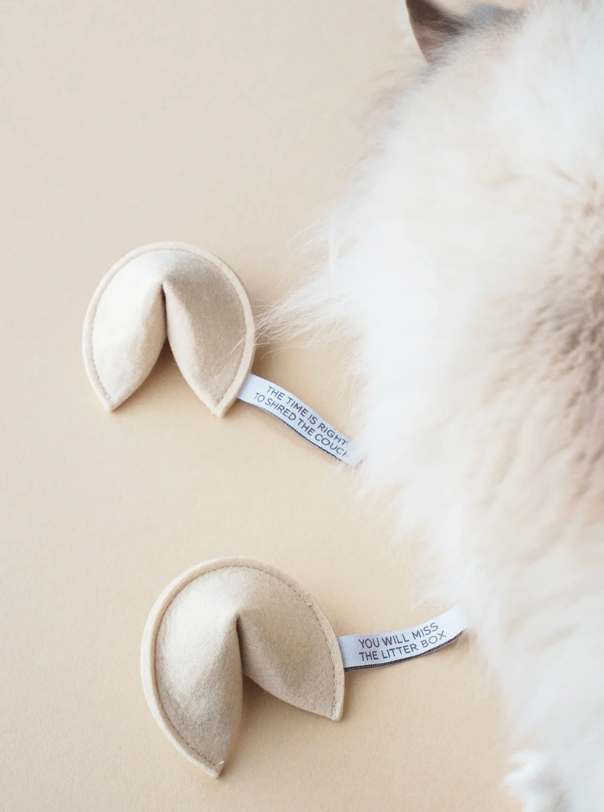 FORTUNE COOKIE CATNIP TOY - Image 2