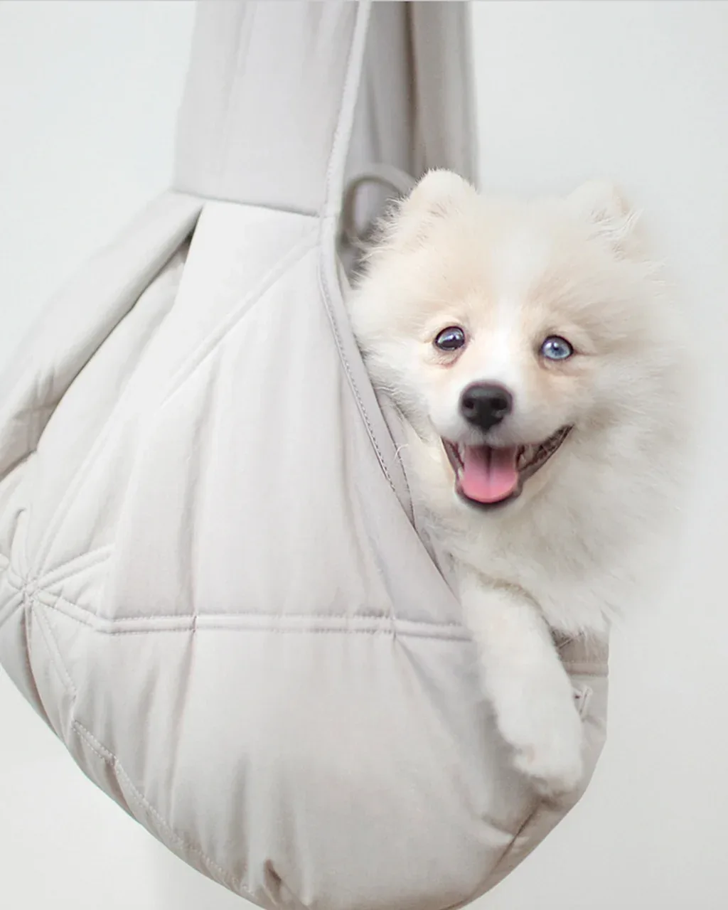 OLLA PETITE DOG CARRIER