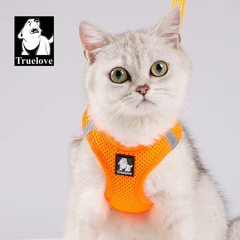 Truelove Mesh Harness & Leash Set for Cats & Small & Medium Dogs (Orange) - Image 2