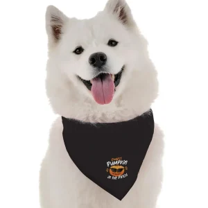 The Coolest Pumpkin Halloween Dog Bandana by BanDoggie