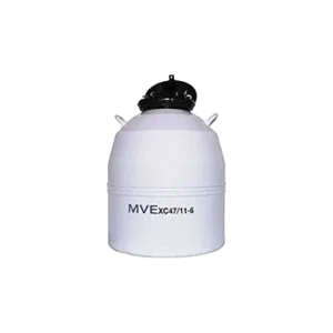 MVE XC 47/11-6