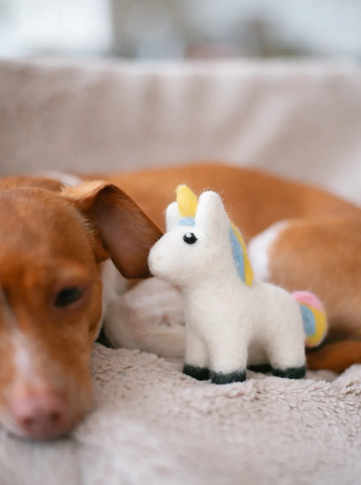 MAGICAL UNICORN from A Purposeful Rescue - Image 2