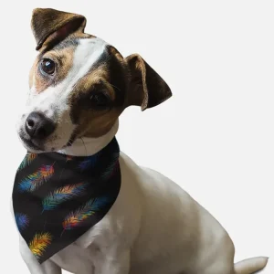 Fancy Feathers Dog Bandana by BanDoggie