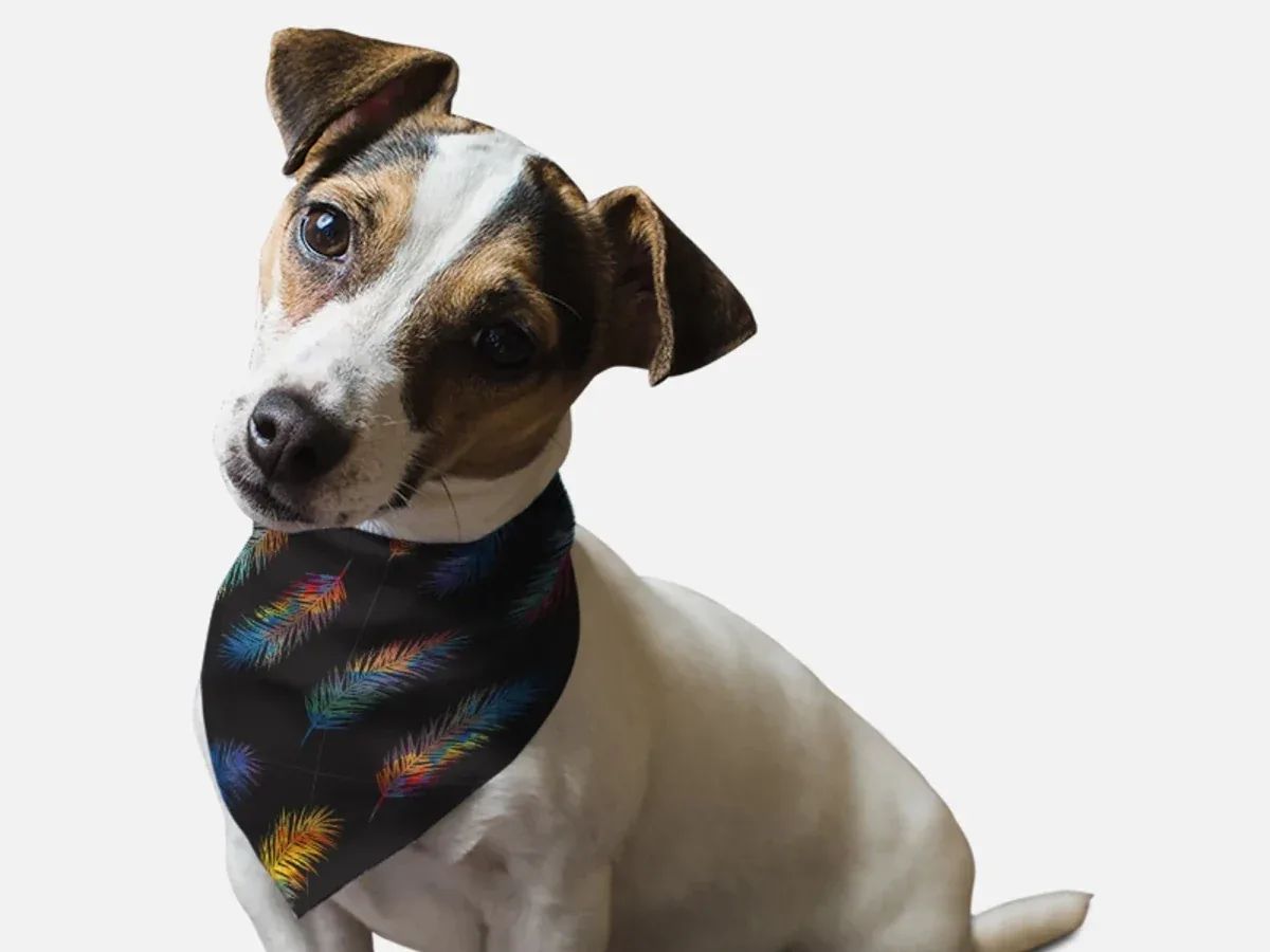 Fancy Feathers Dog Bandana by BanDoggie