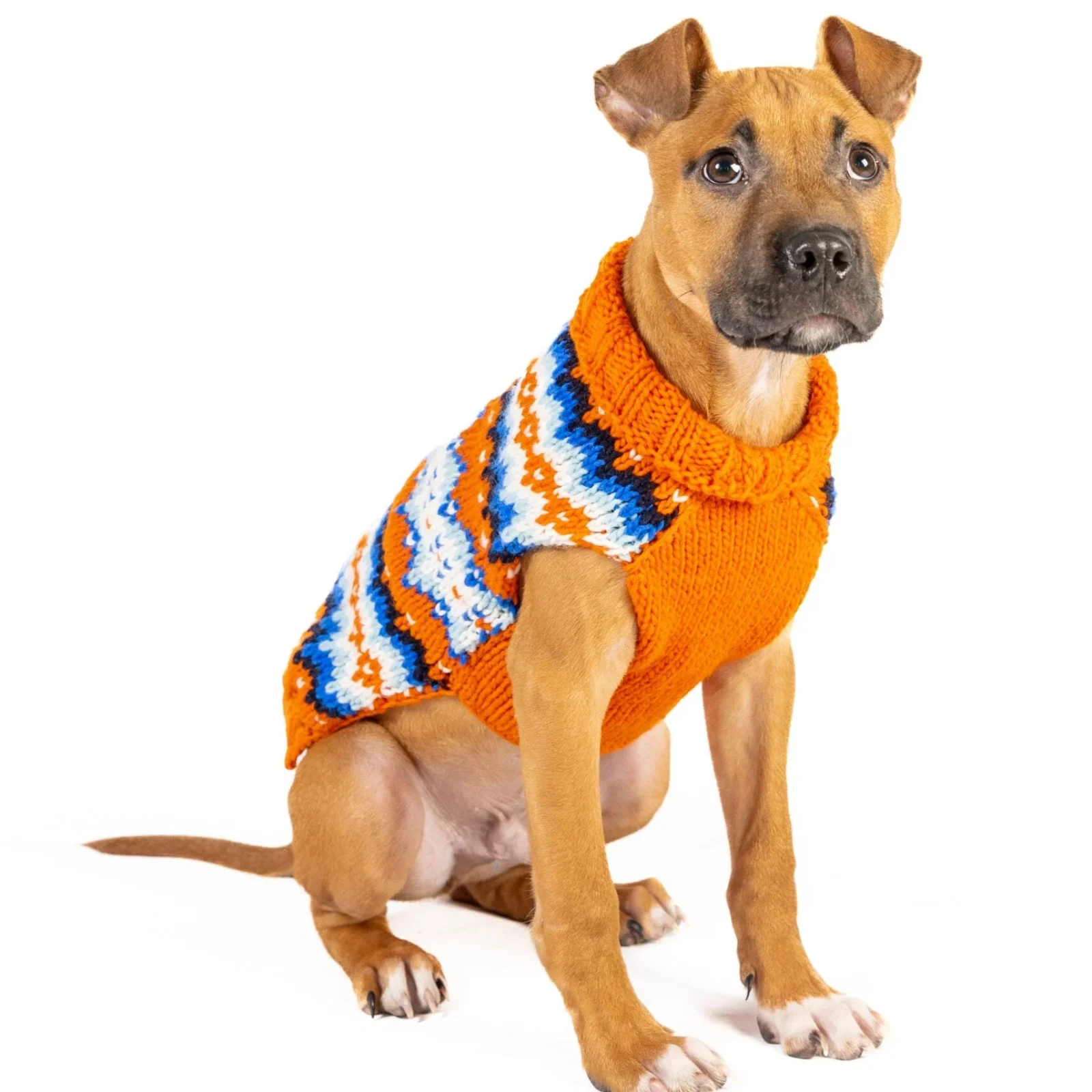 Campfire Dog Sweater - Image 2