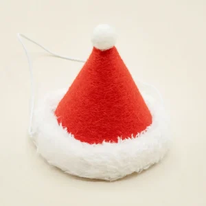HOLIDAY HAT